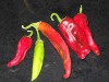 http://www.regalpeppers.com